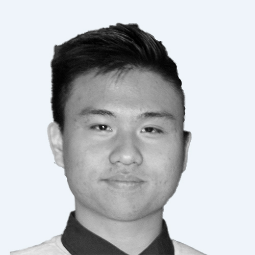 Marcus Nguyen - IT Consultant